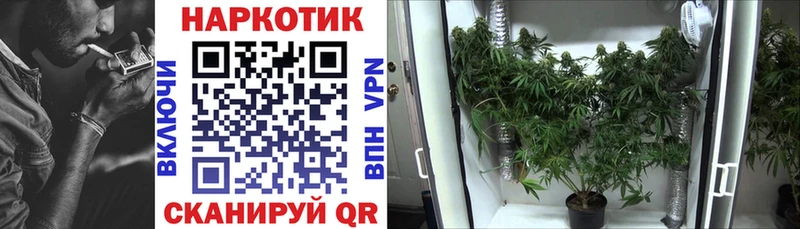 Магазины продажи наркотиков Ярославль Конопля МЕФ Псилоцибиновые грибы ГАШ