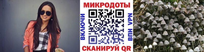 Псилоцибиновые грибы GOLDEN TEACHER где найти Ярославль
